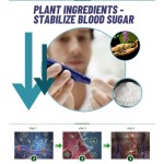 Healthcare Soft Capsules Manufacturer - OEM Custom Immune Booster Fitness Pill