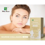 Fish Collagen Jelly Factory - OEM Custom Peptides Skin Whitening Glow