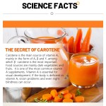 Carotene Softgel Capsule Factory - OEM Custom Organic Beta Carotin Vision