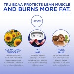 Creatine Gummies Factory - Monohydrate HCL Energy Boost Supplement