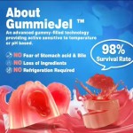 Probiotic Gummies Factory - Sugar Free 50 Billion CFU Digestive Health