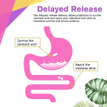 Women Probiotic Capsules Factory - Private Label 60 Billion CFU