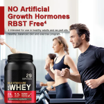 Sports Protein Powder Supplier - ODM High Protein Mass Gainer