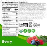 纯素蛋白粉生产厂家 - 可定制无乳无麸超级食品