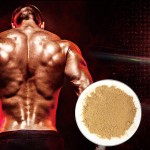 玛卡根胶囊生产厂家 - 专业私标能量压力缓解