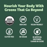 纯素蛋白粉生产厂家 - 可定制无乳无麸超级食品