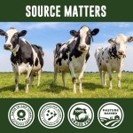 牛肉器官蛋白粉生产厂家 - 可定制新西兰草饲