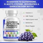 谷胱甘肽胶囊供应商 - 可定制15000毫克维生素C抗衰