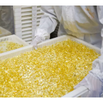 多重胶原蛋白胶囊生产厂家 - 可定制草饲复合女性