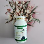 腹部瘦身贴供应商 - 专业定制排毒体重控制样品