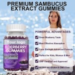 Private Label Immune Support Antioxidants Organic Sambucus Elderberry Supplement Daily Gummies