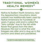 Private Label Amazon Hot Selling Natural Formulation Non-GMO Gluten Free Black Cohosh Root Capsule