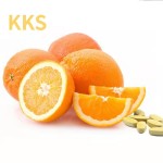 维C瘦身片剂生产厂家 - 性价比美白