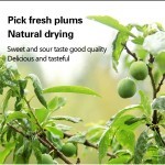 体重管理胶囊供应商 - 15天清洁排毒