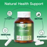 胶原蛋白肽粉末供应商 - 水解胶原厂家批发