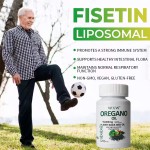 增重胶囊厂家 - 草本人参药丸OEM代工