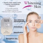 人参饮料供应商 - 能量支持热销