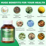 胶原蛋白肽粉末供应商 - 水解胶原厂家批发