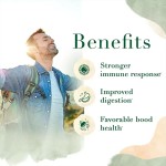 益生菌条生产厂家 - 益生元粉末肠道健康