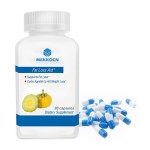 瘦身胶囊生产厂家 - 热销燃脂胶囊