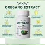 增重胶囊厂家 - 草本人参药丸OEM代工