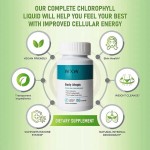 益生菌条生产厂家 - 益生元粉末肠道健康