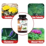 Chlorophyll Capsules Supplier - NON-GMO Female Supplements