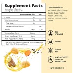 Turmeric Ginger Gummies Manufacturer - OEM Vegan Curcumin Supplement