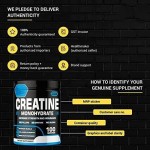 Creatine Powder Supplier - OEM High Purity Monohydrate