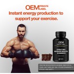 Creatine Gummies Supplier - Bulk 500mg Pre Workout Supplement