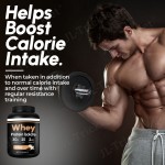 Whey Protein Powder Supplier - Customize Private Label Isolate