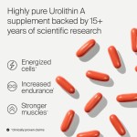 Urolithin A Capsules Manufacturer - OEM 500mg Antioxidant Supplement