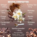 Shilajit Extract Powder Manufacturer - Julong Supply Organic Himalayan