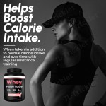 Whey Protein Powder Manufacturer - Private Label ODM 5lb