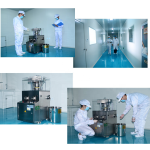 Ashwagandha Gummies Factory - OEM Private 500mg Withanolides