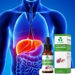 Milk Thistle Drops Factory - 200mg Silymarin Extract