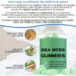 Sea Moss Gummies Manufacturer - OEM Customized Vegan Candy