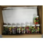 Fat Burning Gummies Supplier - OEM Pure Garcinia Cambogia Extract