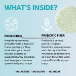 Vitamin C Tablets Manufacturer - Julong OEM 1000mg Amla