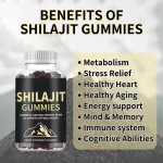 Shilajit Gummies Manufacturer - Private Label OEM Himalayan Pure 60 Count