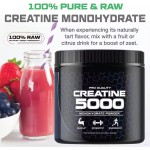 Creatine Monohydrate Powder Manufacturer - OEM ODM Pure Raw Energy Supplement