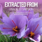Saffron Extract Gummies Supplier - OEM ODM Herbal Energy Positive Mood Supplement