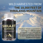 Shilajit Gummies Manufacturer - Private Label OEM Himalayan Pure 60 Count