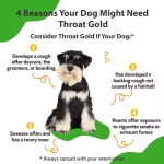 Herbal Pet Throat Drops Factory - Private Label OEM Kennel Cough Soother Dogs