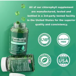 Chlorophyll Gummies Supplier - Private Label OEM Powder Supplement Candy
