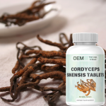Cordyceps Sinensis Tablets Manufacturer - OEM Custom Herbal Health Supplement