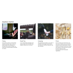 Windshield Cleaner Tablets Supplier - OEM Custom High Concentrated Glass Car