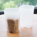 植物盆厂家 - 高缝方形透明