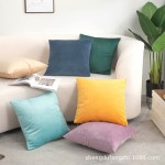 抱枕套生产厂家 - 天鹅绒运动鞋潮牌装饰