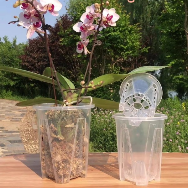 透明植物盆供应商 - 加厚设计促进生长